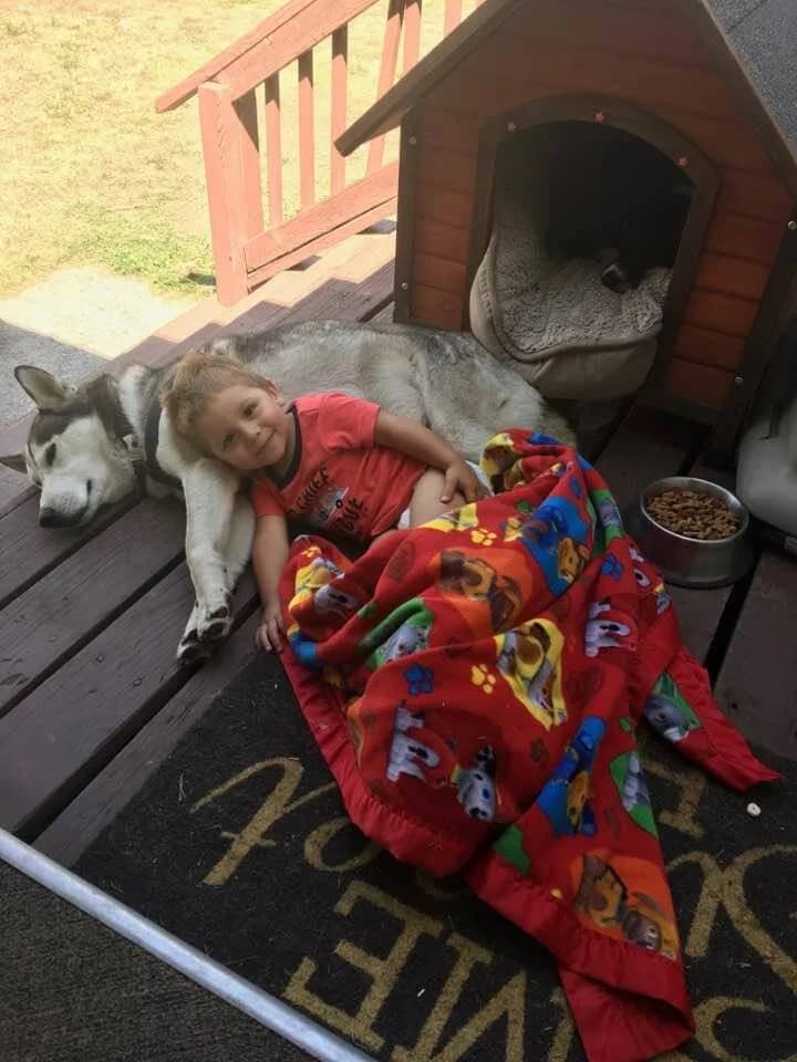 A toddler cuddles under a colorful blanket using a Husky as a pillow on a backyard porch