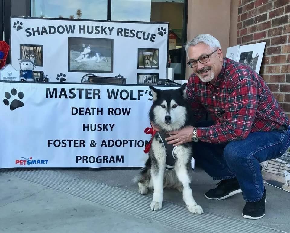 A smiling man crouches beside a black-and-white Husky in front of a Shadow Husky Rescue adoption event banner