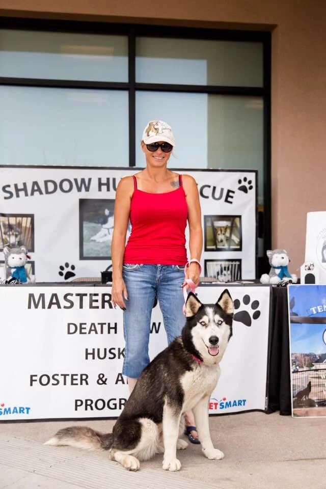 A woman in a red top standing with a black and white Husky in front of a Shadow Husky Rescue adoption event banner