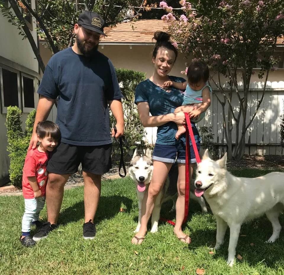 A young family with two small children stands with two Huskies in a sunny backyard