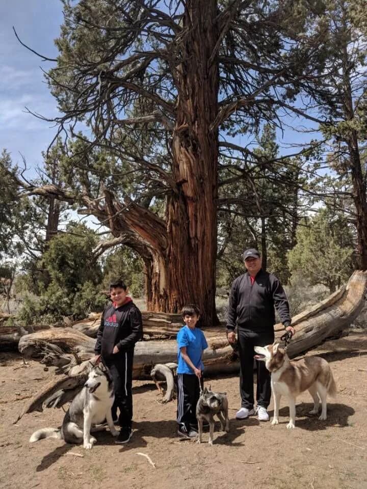 A man and two boys posing with three Huskies in front of a massive ancient tree