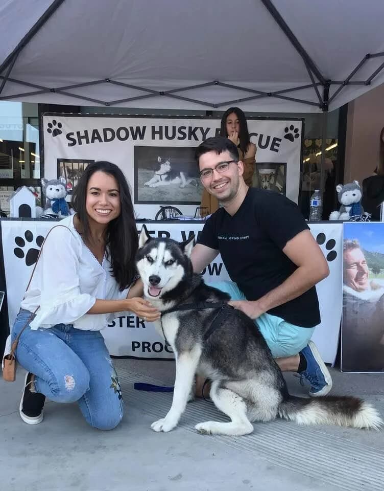 A young couple kneeling with a black and white Husky in front of a Shadow Husky Rescue event booth
