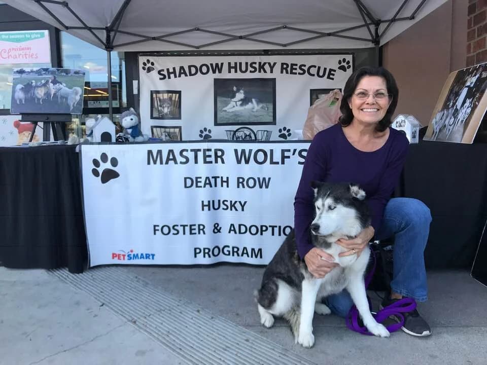 A smiling woman kneels with a Siberian Husky in front of a Shadow Husky Rescue adoption event booth