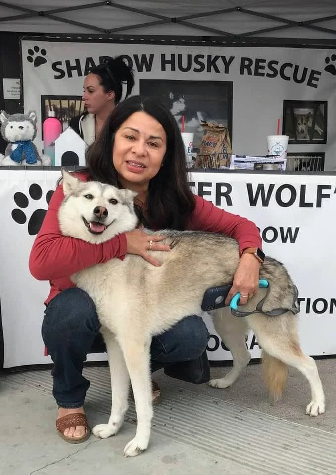 A woman warmly embraces a smiling gray-and-white Husky in front of the Shadow Husky Rescue banners